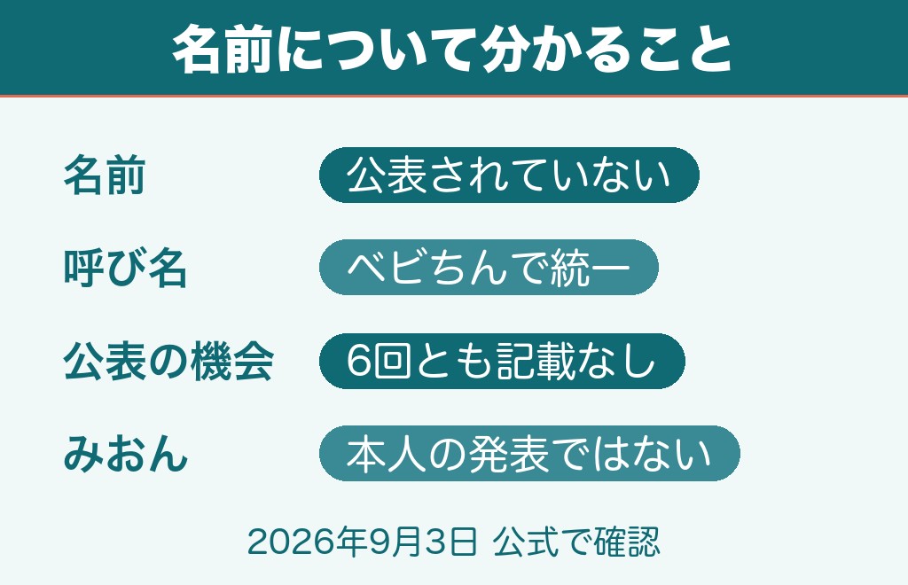 板野友美の娘の名前は公表されている？結論から